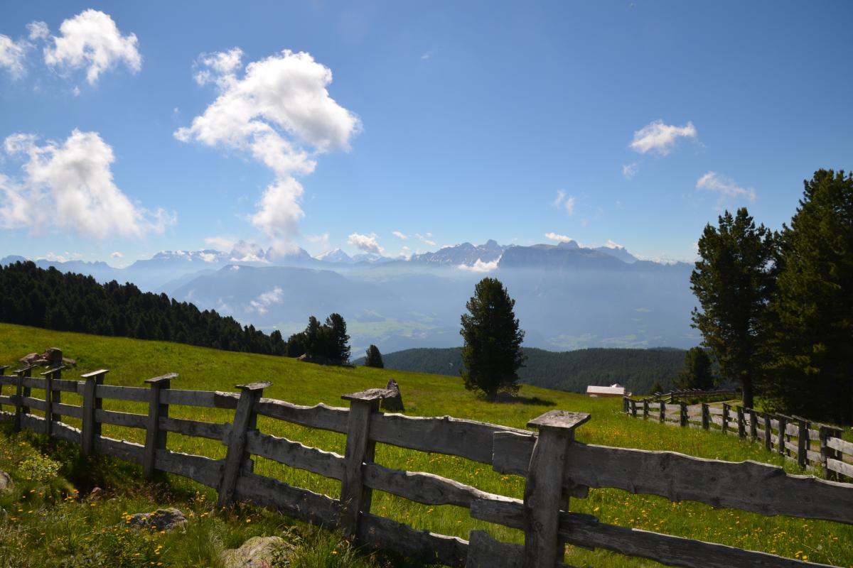 Latschenoelbrennerei und Platzer Alm 06.07.2021